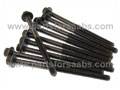 9-3 Sports 03' on all 2 litre Turbo Engines - Cylinder Head Bolts (10)