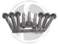 900 all 16v models to 98' Cylinder Head Bolts (10 of)